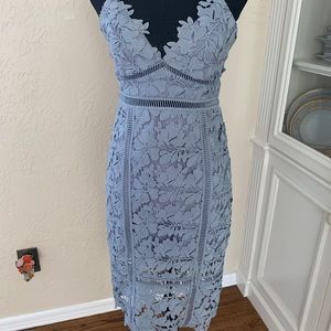 Bardot botanica lace dress